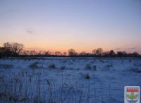 Foto: T. Frodermann<br>Eine winterliche Wiese zwischen Henstedt und Rhen