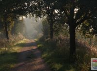 Foto: Thomas Lendt<br>Wanderweg EBO-Trasse (Elmshorn-Barmstedt-Oldeslohe-Trasse) nach Wakendorf