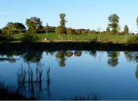 Foto: Susanne Nähr<br>Herbst im Bürgerpark