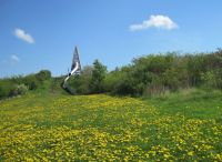 Foto: Heike Benkmann<br>Bürgerpark im Mai 2014