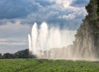 Foto: Thomas Lendt<br>Ende Juli 20 - Landwirte müssen wieder nachwässern