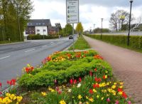 Foto: Heike Benkmann<br>Blütenpracht an der Hamburger Straße