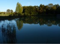 Foto: Susanne Nähr<br>Der Bürgerpark - im Herbst doppelt schön