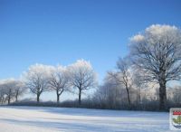 Foto: Heike Benkmann<br>Henstedt-Ulzburger Winterimpressionen