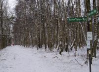 Foto: Heike Benkmann<br>Eiszeit im Rhener Moor