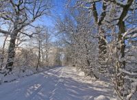 Foto: Thomas Lendt<br>Westlich Gewerbegebiet Nord Ende Februar 2018