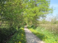 Foto: Heike Benkmann<br>Streifzug durch den Ortsteil Henstedt