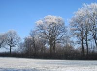 Foto: Heike Benkmann<br>Götzberg