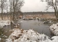 Foto: Heike Benkmann<br>Winterliches Henstedter Moor im November 2016