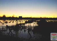 Foto: Werner Quade<br>Sumpfwiesen zwischen Kisdorf und Ulzburg im Abendgold