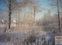 Foto: Werner Quade<br>Filigraner Winterzauber - Biotop an der Kulturkate