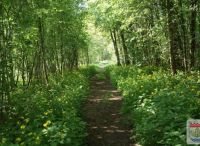 Foto: Heike Benkmann<br>Schlappenmoor im Frühling