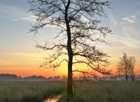 Foto: Thomas Lendt<br>Sonnenaufgang im Februar am Rand des Schlappmoors