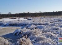 Foto: Heike Benkmann<br>Henstedt-Ulzburger Winterimpressionen