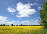 Foto: Thomas Lendt<br>Sonne ... und es gibt sie 2017 doch (manchmal) - Westlich Gewerbegebiet Nord zum Autobahnzubringer 2017