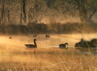 Foto: Thomas Lendt<br>Sonnenaufgang zu Frühlingsanfang 2020 im NSG Henstedter Moor