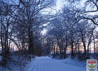 Foto: T. Frodermann<br>Die Straße von Henstedt nach Rhen im Winterkleid