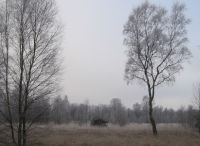 Foto: Heike Benkmann<br>Eiszeit im Rhener Moor