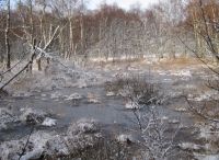 Foto: Heike Benkmann<br>Eiszeit im Rhener Moor